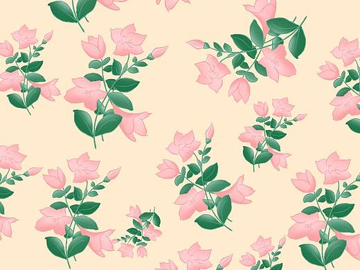 🐒 养别的不敢说，杜鹃还是一流的