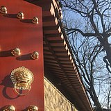 gogocici的头像