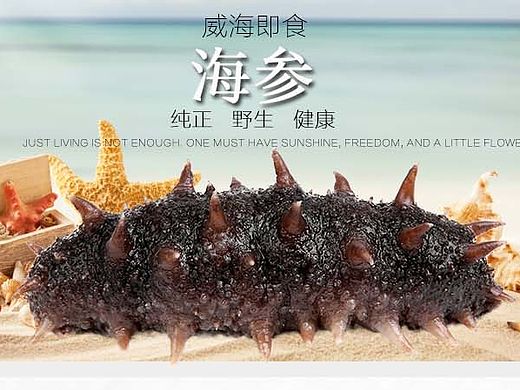 即食海参详情页,大家给点意见哈
