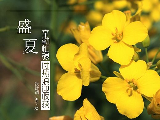 盛夏
