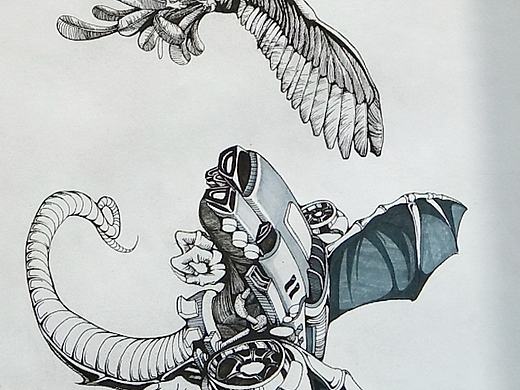 新手作画  希望各大神指点