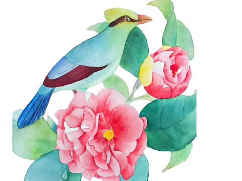 水彩花鸟