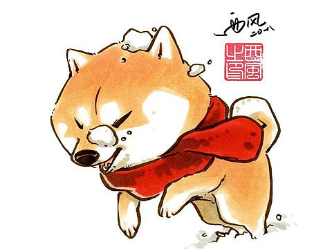 【柴犬枸杞】雪地里的一抹红