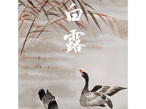 白露