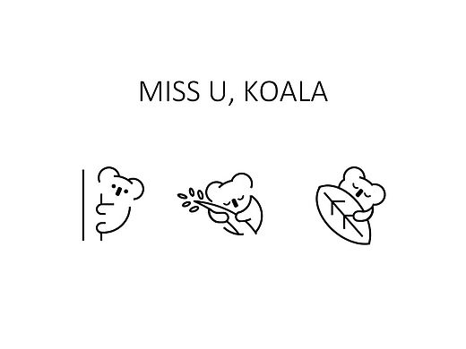 考拉 I