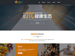 企业官网-综合型