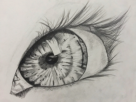 希望能有专业绘画的朋友指导一二