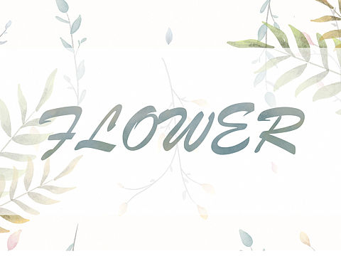 春天-水彩植物练习