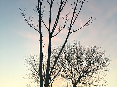 如果能随性一点（个人主页-ZMTUxNjI2NzY=） - 风光摄影 - 站酷设计师wzy王美讶原创素材 - 站酷ZCOOL