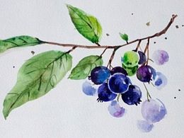 <花>水彩画集