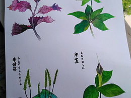 平面