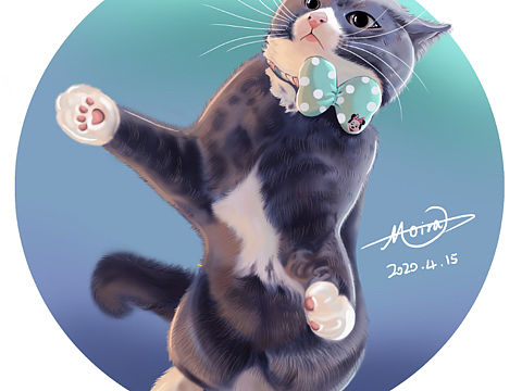 萌喵上线（个人主页-ZNDQ1NDQ2OTI=） - 创作习作 - 站酷设计师moira茸原创素材 - 站酷ZCOOL