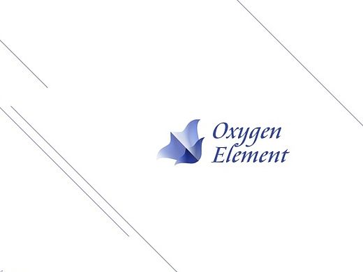 珠宝定制LOGO两枚~