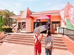 我手机里的这个夏天