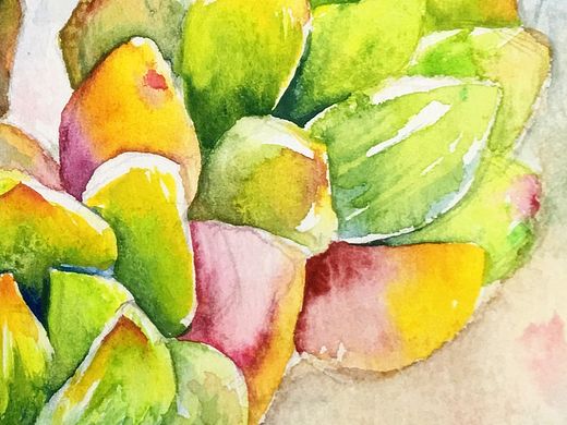 多肉（個人主頁-ZMTQ1MjIxNTY=） - 繪畫 - 站酷設(shè)計師Ly筱優(yōu)水彩繪畫原創(chuàng)素材 - 站酷ZCOOL