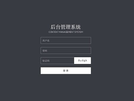 后台界面
