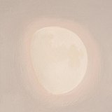 ciocco_的头像