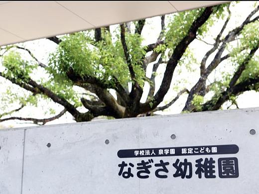 导视系统设计 渚幼儿园