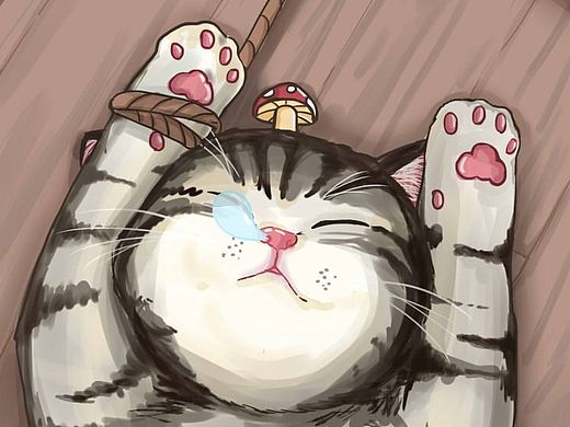 猫咪