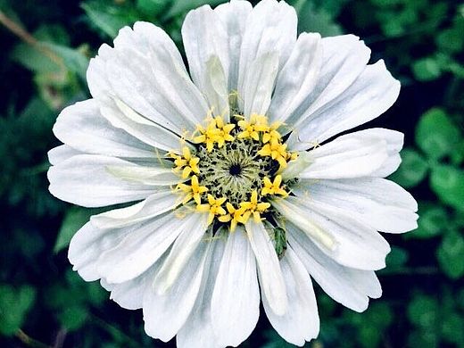 手机摄影（五）（个人主页-ZMTM4NTEyODA=） - 产品摄影 - 站酷设计师念念啊不忘原创素材 - 站酷ZCOOL