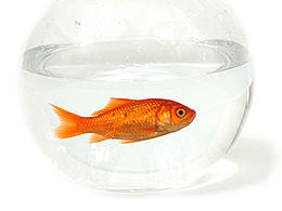 潔婷廣告設(shè)計(jì)