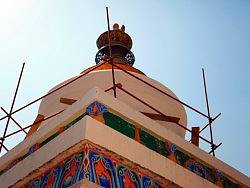 这一年的塔尔寺