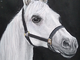 色粉作品，粉彩画 马，