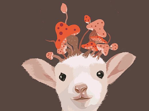 mie（個(gè)人主頁(yè)-ZMTUzMjI5MjQ=） - 商業(yè)插畫(huà) - 站酷設(shè)計(jì)師biubiubiu492原創(chuàng)素材 - 站酷ZCOOL