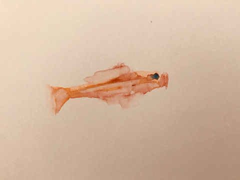 养鱼:fish:新手[ali拜年]多多指教（个人主页-ZMjkxMDg4NjQ=） - 儿童插画 - 站酷设计师janines原创素材 - 站酷ZCOOL