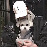 Tms丶的头像