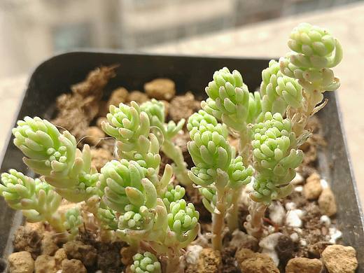 我的肉肉（个人主页-ZMTYwNDgyNTI=） - 产品摄影 - 站酷设计师直直怪原创素材 - 站酷ZCOOL