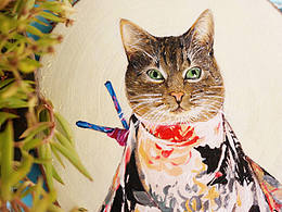 在枯木上捕獲一只貓~ 