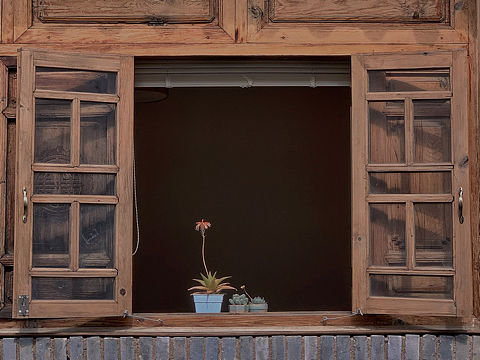 窗邊的一枝花（個(gè)人主頁-ZNjEyMzM1NTY=） - 環(huán)境/建筑攝影 - 站酷設(shè)計(jì)師人間絕色腿毛原創(chuàng)素材 - 站酷ZCOOL