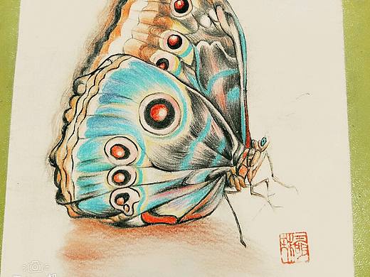 『蝶』（个人主页-ZMzIyNDU5Njg=） - 绘画 - 站酷设计师麻雀仙子原创素材 - 站酷ZCOOL