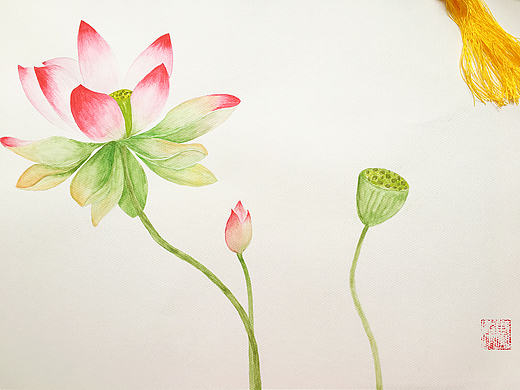 水粉《荷》練習(xí) 繪畫流程