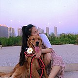 倔强的小西瓜瓜的头像