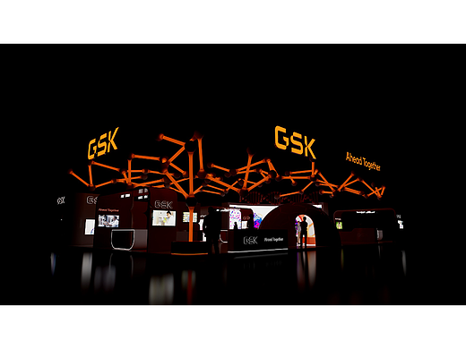 第十五届进博会-GSK展台