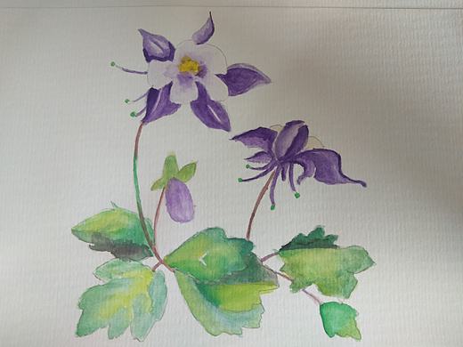 花卉水彩画（个人主页-ZMzY5NzY4MDQ=） - 其他 - 站酷设计师全球板砖运营商原创素材 - 站酷ZCOOL