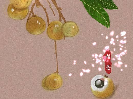 龙眼