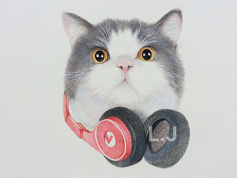 猫咪商插
