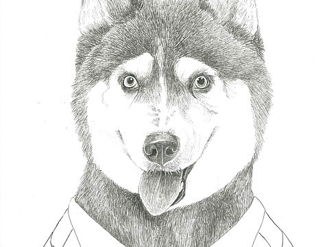 生肖（个人主页-ZNTIzNjY0Mjg=） - 商业插画 - 站酷设计师搜酷咖豆原创素材 - 站酷ZCOOL