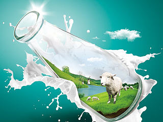 又见流产的咩咩奶。