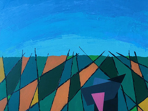 麻地里撒欢儿的牧羊犬