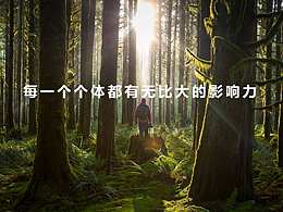 企业简介