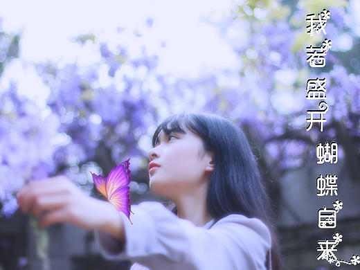 我若盛开，蝴蝶自来