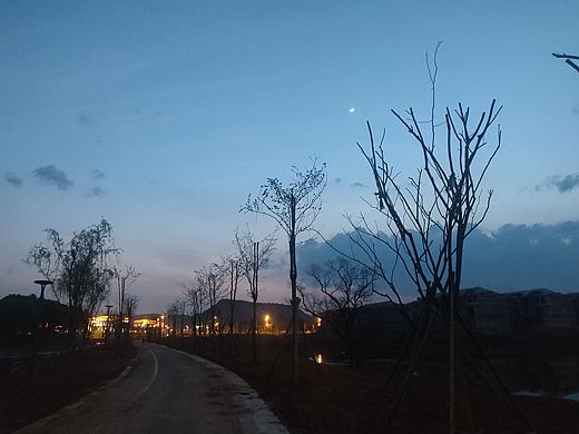 补发一张手机照
