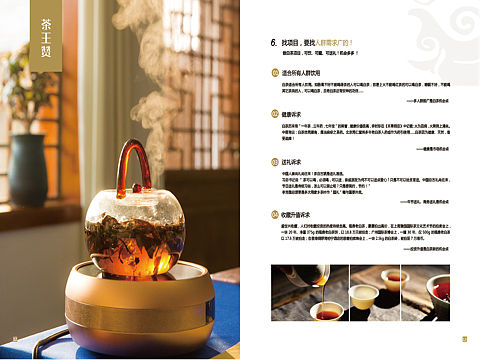 茶叶产品招商手册