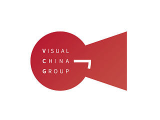视觉中国logo征集投稿/ VI / LOGO