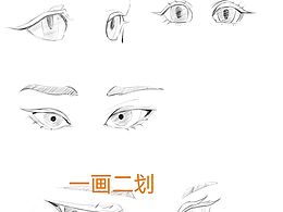 和大佬学画画的第九天