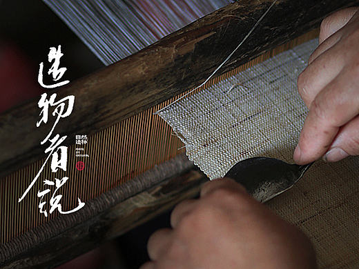 平凡的人如何编织自己的梦？【造物者说】自然造物 